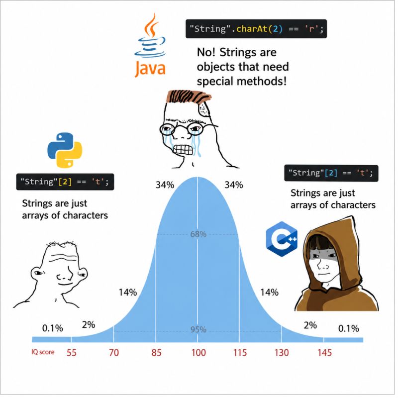 Why Java Strings Are Objects, Not Character Arrays