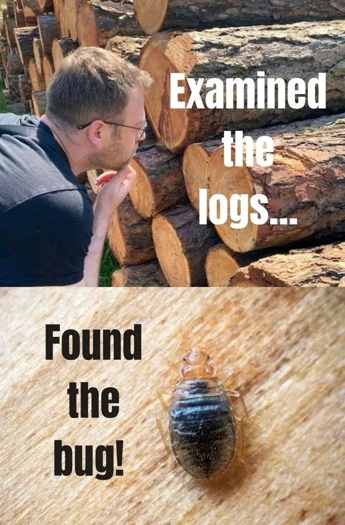 My route for debugging a production issue